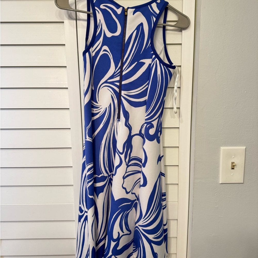 Lilly Pulitzer Blue and White Graphic Maxi Dress